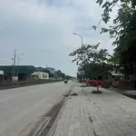 Bán 10 lô liền kề 875m² mặt QL1A Tân Phong Thanh Hóa - Ảnh thu nhỏ 1