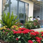 Bán nhà vườn 450m² 2 PN Tây Ninh 2 tỷ 290 triệu - Ảnh thu nhỏ 2