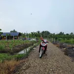 Bán đất vườn 845m2 giá 949 triệu tại Bình Đức, Bến Lức, Long An (Tây Ninh mới) - Ảnh thu nhỏ 5