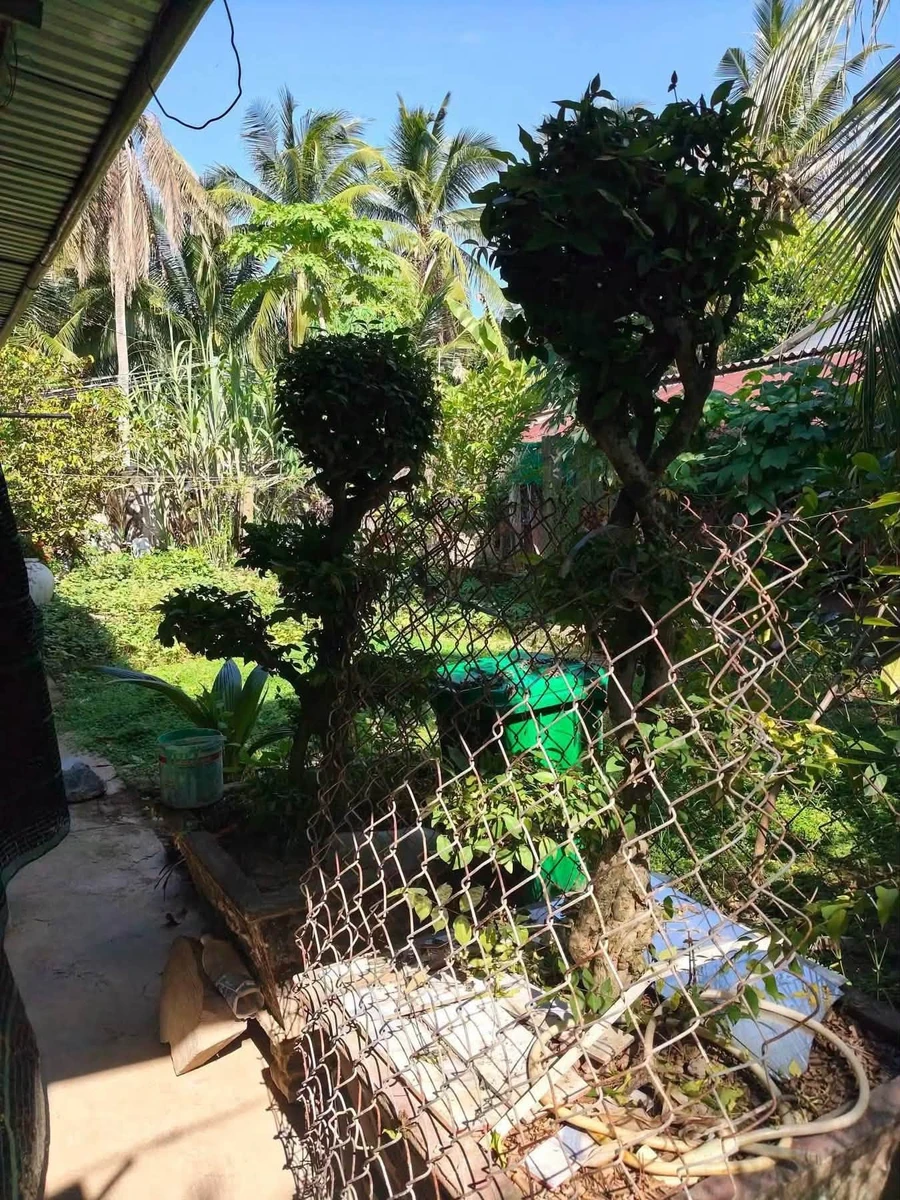 Bán nhà 2 phòng ngủ 376.7 m² Xã Vàng Quới Đông - Ảnh thu nhỏ 5