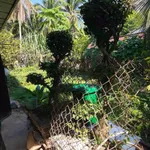 Bán nhà 2 phòng ngủ 376.7 m² Xã Vàng Quới Đông - Ảnh thu nhỏ 5