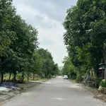 Bán lô đất 116m2 xây dựng tự do Nghi Phú, TP Vinh - Ảnh thu nhỏ 2