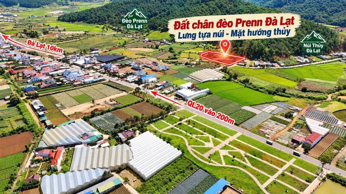 Bán đất 100m² tại Đèo Prenn Đà Lạt từ 950 triệu - Ảnh thu nhỏ 3