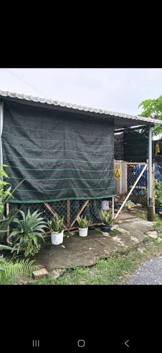 Bán nhà cấp 4 diện tích 5x35m gần ngã 3 Mỹ Hạnh giá 1,7 tỷ - Ảnh thu nhỏ 3