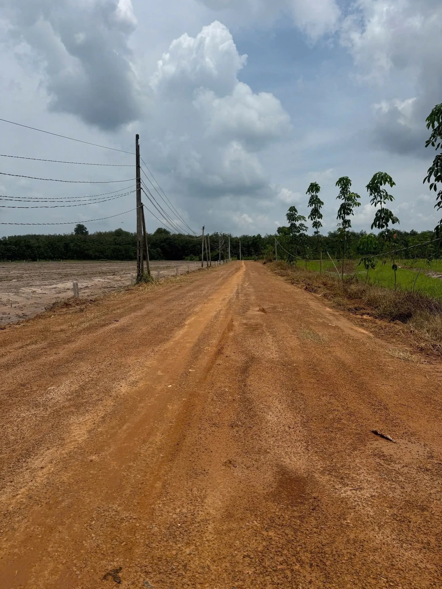 Bán căn hộ 4 phòng ngủ Thủ Đức view đẹp 29m5 - Ảnh 1