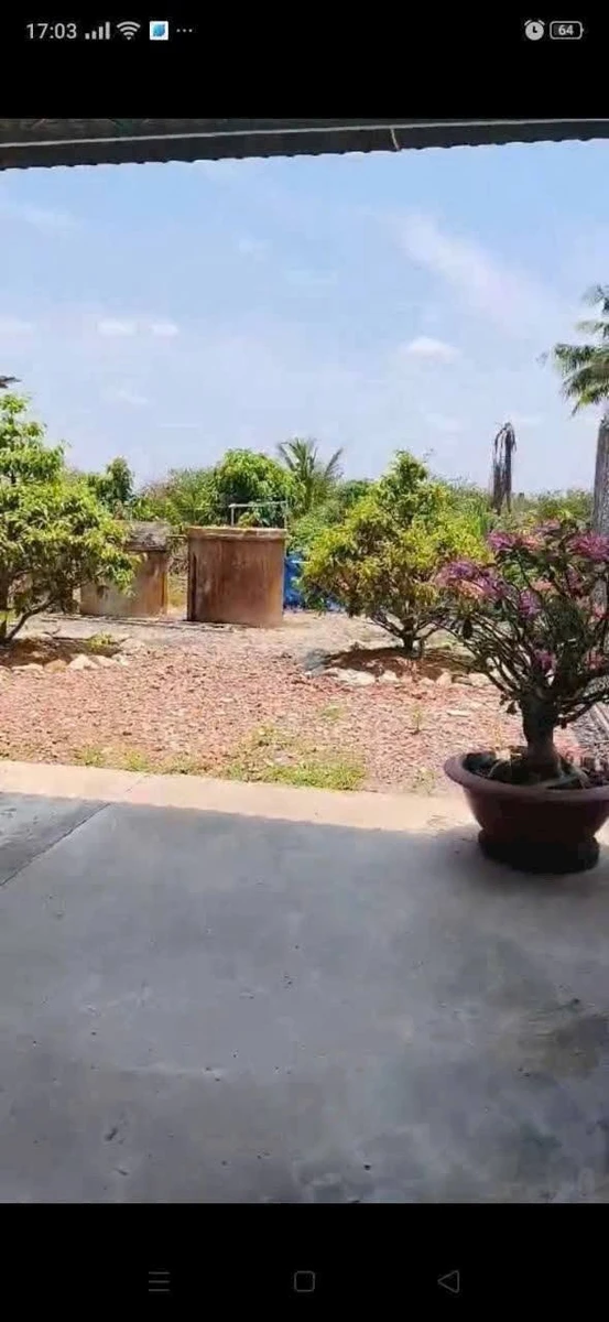 Bán nhà vườn 1097m² Bến Lức 1,8 tỷ - Ảnh thu nhỏ 4