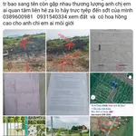 Bán nền đất 87m² thổ cư Tân Lân Nam Phong Cần Dước 790 triệu - Ảnh thu nhỏ 2
