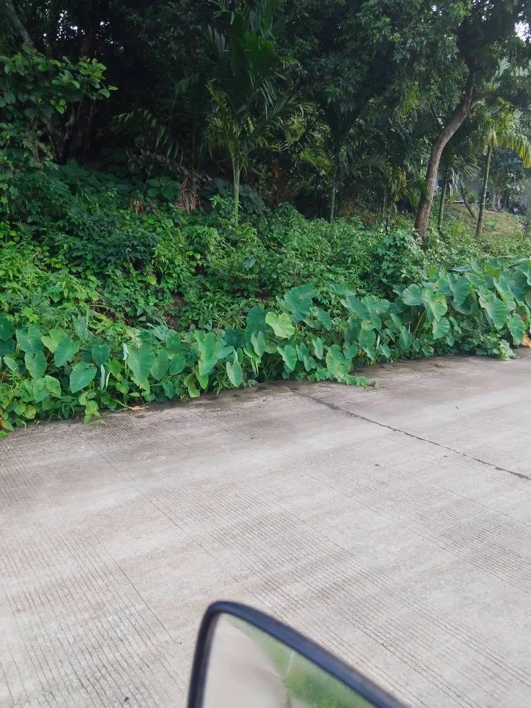 Bán đất nền 500m² Kỳ Sơn, Hòa Bình từ 2 tỷ - Ảnh 1