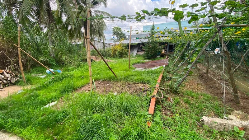 Bán nền mặt tiền Bờ Dừa 115m2 Bến Tre 820 triệu