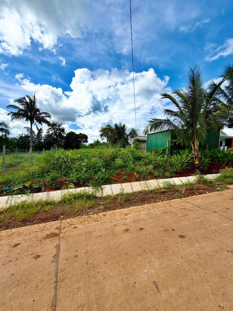 Bán đất Xã Eadrong 300 m2, 399 triệu - Ảnh 1