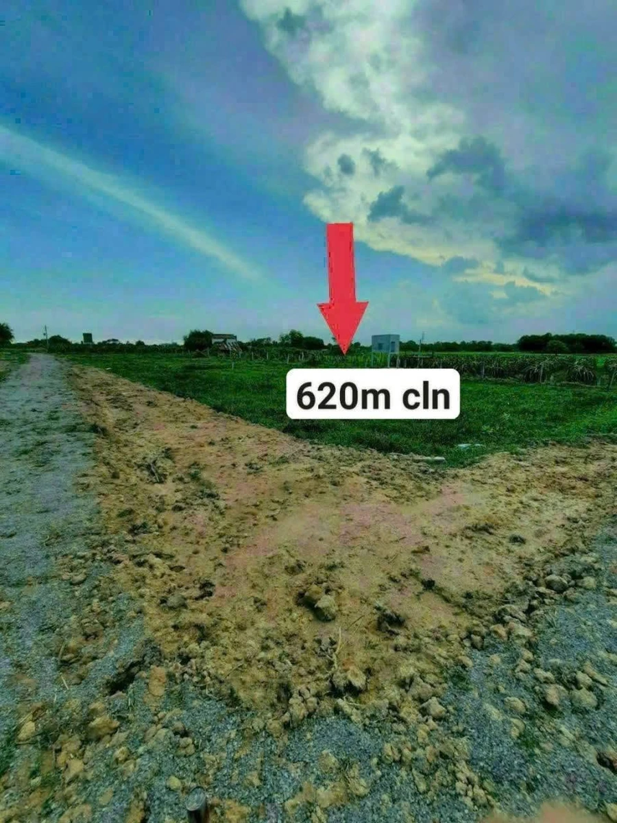 Bán đất 661 m² Hàm Chính, Lâm Đồng - Ảnh thu nhỏ 4