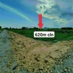 Bán đất 661 m² Hàm Chính, Lâm Đồng - Ảnh thu nhỏ 4