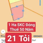 Bán đất SKC 10.500m2 sản xuất, Bàu Bàng, Bình Dương - Ảnh thu nhỏ 1