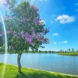 1 Tỷ 100tr, 5x20m, Sổ hồng, Đất Nền Giá Tốt Happy Home Cà Mau, e Phúc nhận ký gửi nhà đất - Ảnh thu nhỏ 12