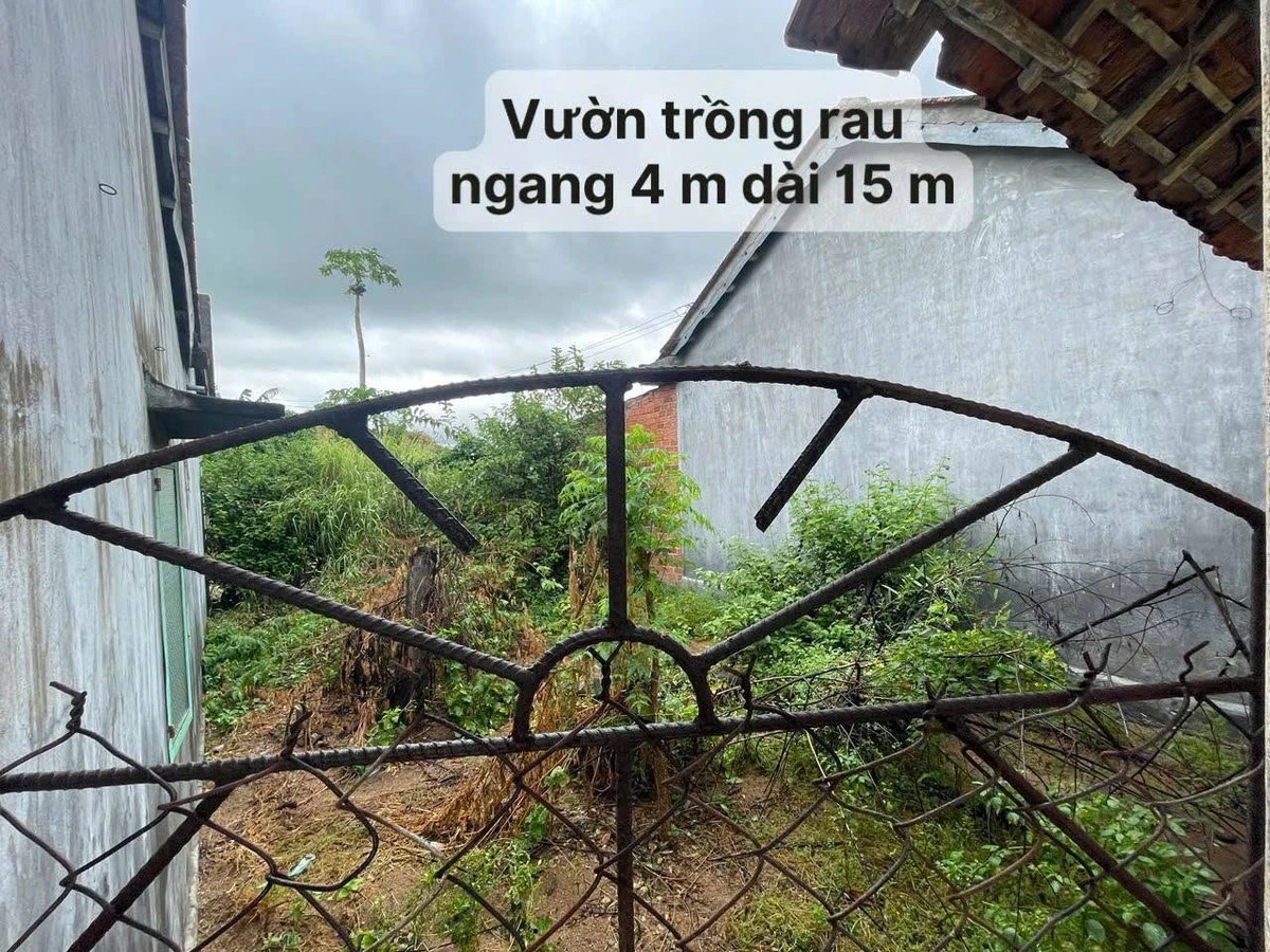 Bán nhà đất Hoà Quang Nam 128m² ở Phú Yên 490 triệu - Ảnh thu nhỏ 4
