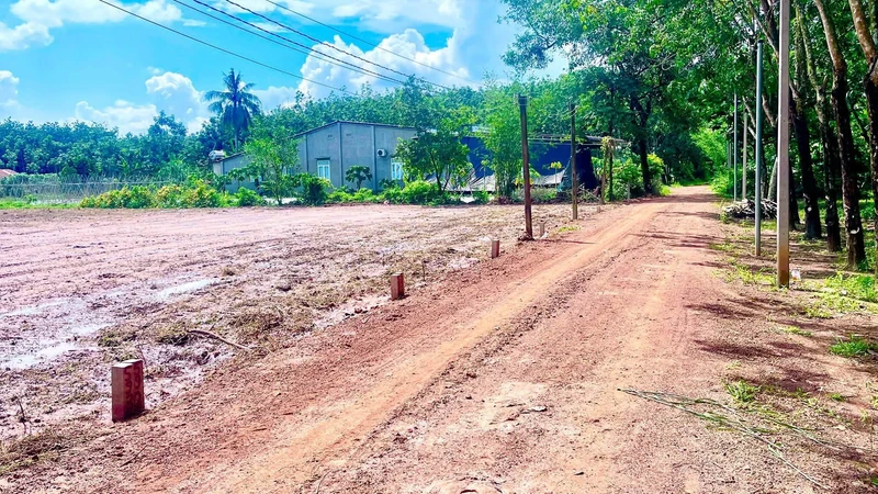 Bán đất 50m² giá 250 triệu Chùm Dừa Châu Thành Tây Ninh