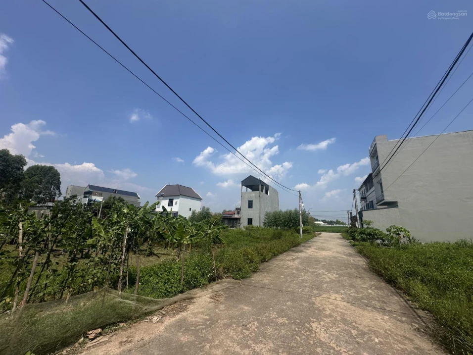 Chính chủ cần bán lô đất tại thôn De, Nghĩa Hưng, Bắc Giang - Ảnh thu nhỏ 3