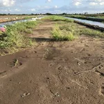 Tôi cần bán mô hình nông trại Vườn-Ao-Chuồng Tân Phước Tiền Giang, diện tích 57000m2 giá 25tỷ - Ảnh thu nhỏ 4