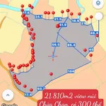 Bán đất vườn 21.810m2 có 300m2 thổ cư, view núi Chứa Chan, Xuân Lộc, Đồng Nai - Ảnh thu nhỏ 1