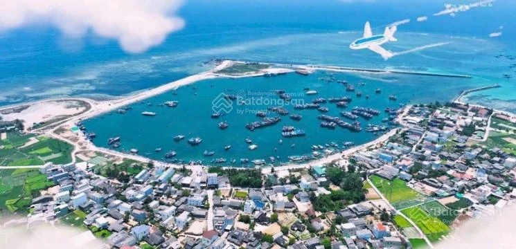 Quang Vinh chào bán 615m2 đất đồi vườn. QH đất ở. View biển. Lưng tựa núi. Cạnh dân cư và gần cảng - Ảnh thu nhỏ 2