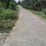 Bán đất lúa 25x40m cho chuyển thổ cư, view kênh tại Hiệp Thạnh, Châu Thành, Long An - Ảnh thu nhỏ 1