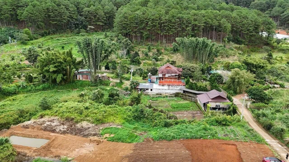 Bán đất 1000m2 sổ riêng Tà Nung 2,7 tỷ view đẹp - Ảnh thu nhỏ 3
