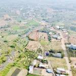 Đất sào nghỉ dưỡng 1850m2 view sông - full hồng - đường ô tô - ra đường lớn QH 30m chỉ 100m giá rẻ - Ảnh thu nhỏ 6