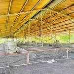 Bán trại heo 10.000m² Dầu Giây, Đồng Nai, 6,3 tỷ - Ảnh thu nhỏ 3