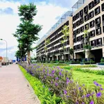 Tôi chính chủ cần bán shophouse dãy SH1 mặt sau đường QL1A. Giá cắt lỗ 4,5 tỷ - Ảnh thu nhỏ 1