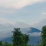 Bán gấp nhà & đất Gia Hiệp, Di Linh, Lâm Đồng (có sẵn dòng tiền 200tr/năm - giá còn thương lượng) - Ảnh thu nhỏ 3