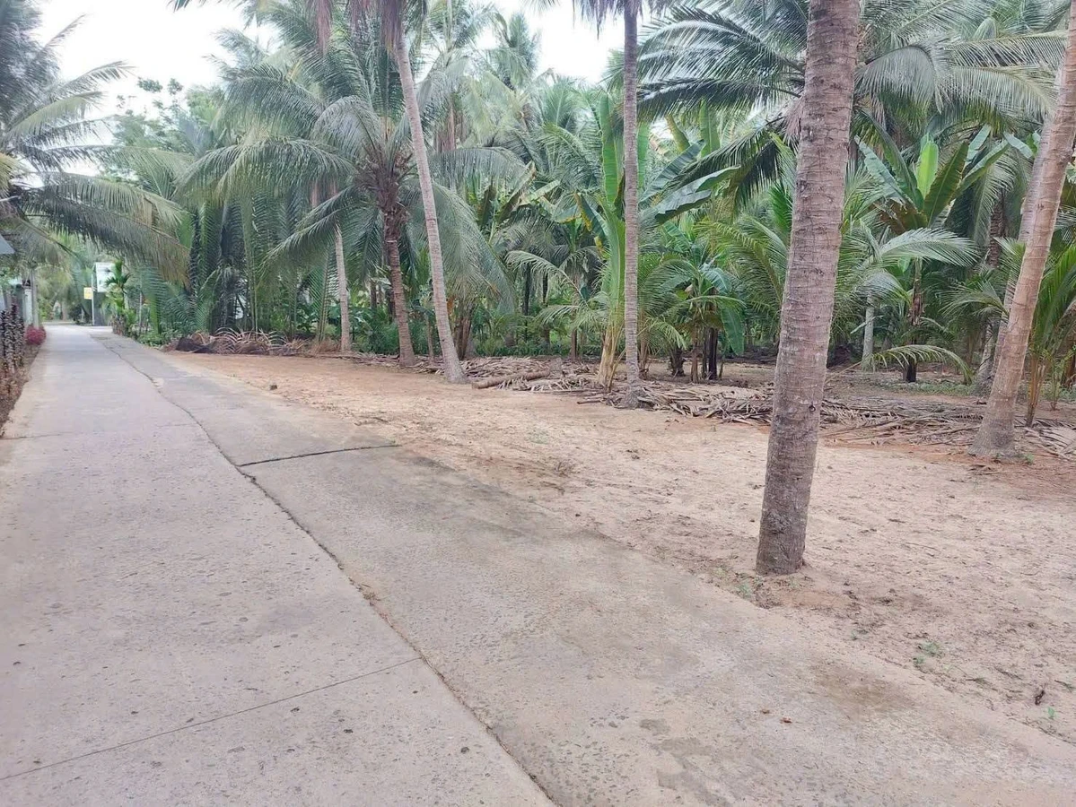 Bán đất mặt tiền Lộ Giồng Trâm 415m² Bến Tre 1 tỷ 499 triệu - Ảnh thu nhỏ 4