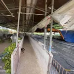 Bán trại chăn nuôi 74m mặt tiền Dầu Giây 6.5 tỷ - Ảnh thu nhỏ 1