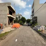 Bán đất nở hậu 172,5m² Mạo Khê, Quảng Ninh - Ảnh thu nhỏ 4