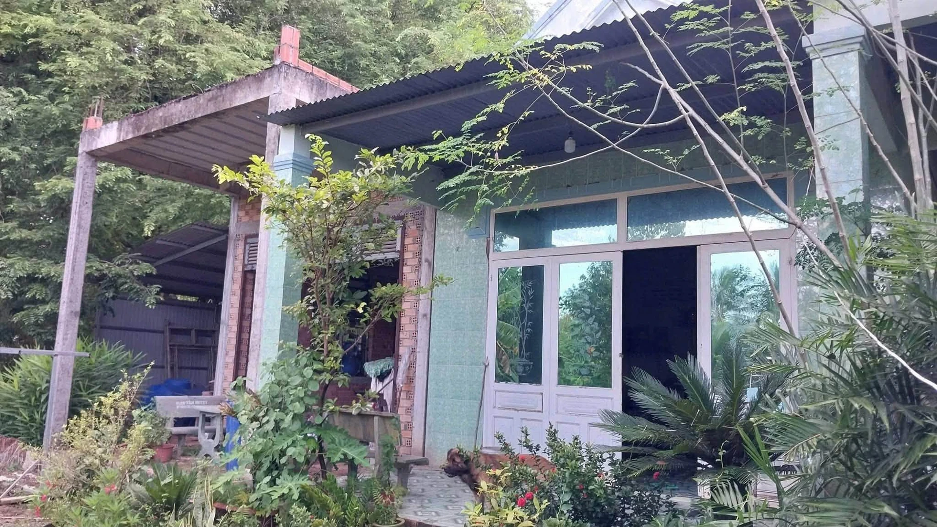 Bán vườn nghỉ dưỡng 6.800m² Xuân Lộc, Đồng Nai - Ảnh 1