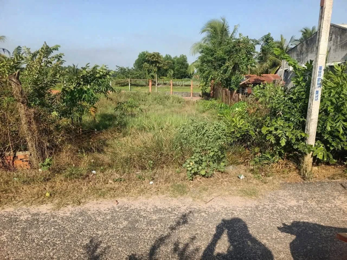 Bán đất 100m² giá 735 triệu ở Tân Biên, Tây Ninh - Ảnh thu nhỏ 2