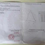 Văn Thủy 2 Cam An Khánh Hòa | hơn 5.000m2 | chỉ 150 triệu/sào - Ảnh thu nhỏ 4