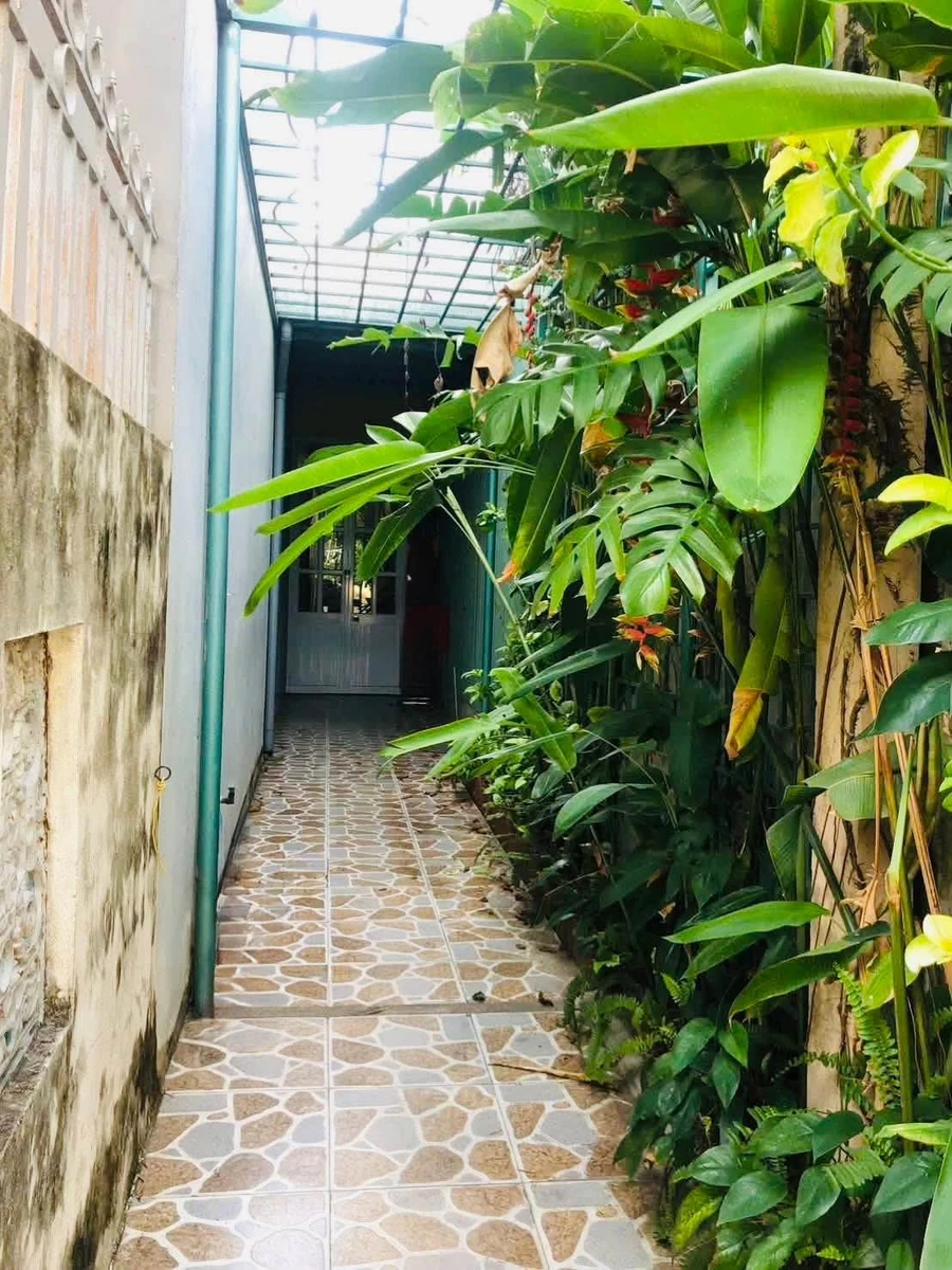 Bán đất 245m² Tô Hiến Thành Quy Nhơn, 10,2 tỷ - Ảnh 1