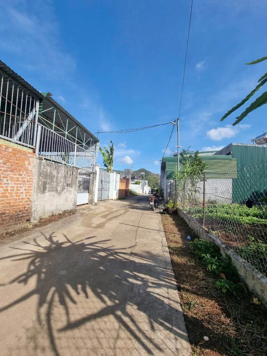 Bán nhà cấp 4 5x20m Thành Nhất Hóc Môn 1 tỷ 290 triệu - Ảnh thu nhỏ 3