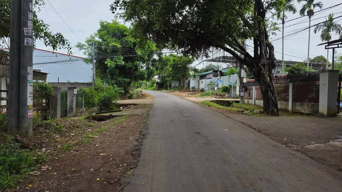 Bán đất mặt tiền kinh doanh Nguyễn Trường Tộ 120m² Nhà Bè - Ảnh thu nhỏ 3