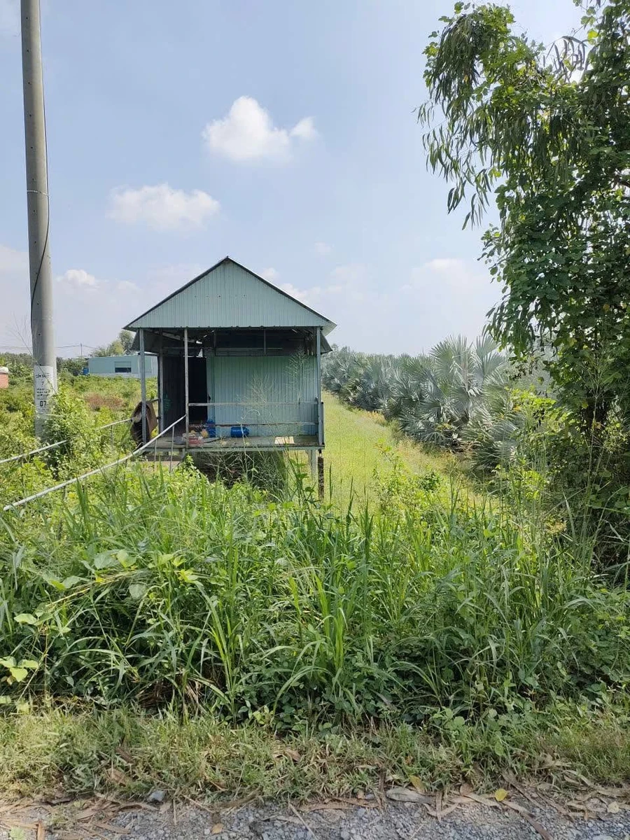 Bán đất vườn 1000m2 hai mặt tiền Đức Huệ, Tây Ninh - Ảnh thu nhỏ 4