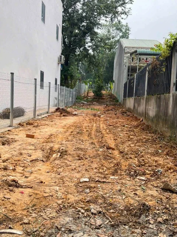 Bán đất mặt tiền Lê Văn Tách 226,6m² Tương Bình Hiệp, TDM