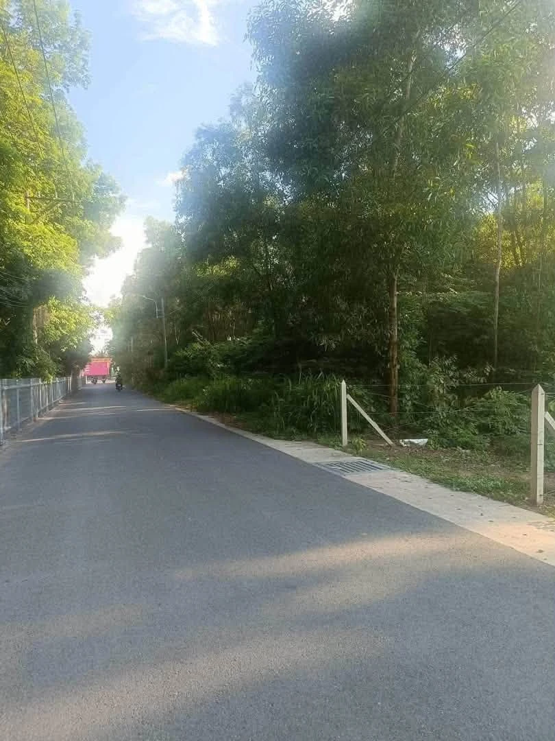 Bán lô đất 5x35x60m Phú An, Bình Chánh 1 tỷ 550 - Ảnh thu nhỏ 2