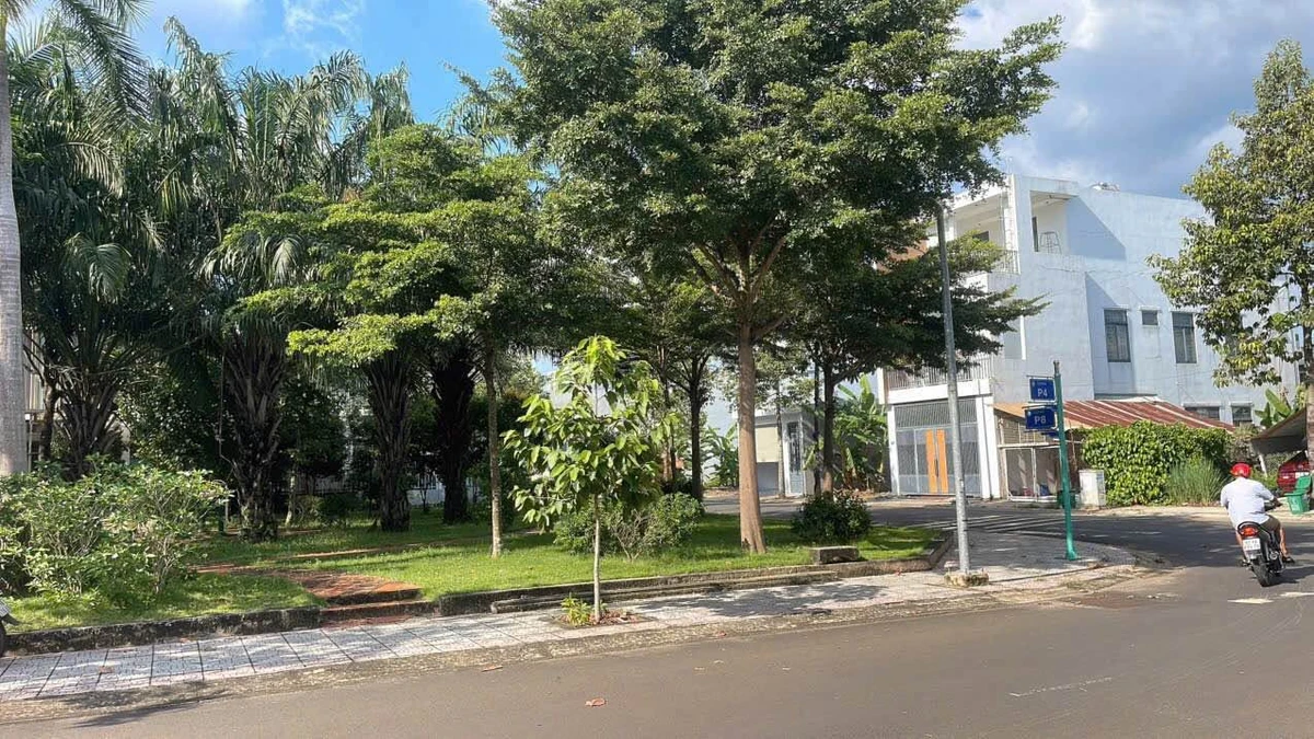 Bán đất The Gold City Bình Phước 220m2 giá 1 tỷ - Ảnh thu nhỏ 3