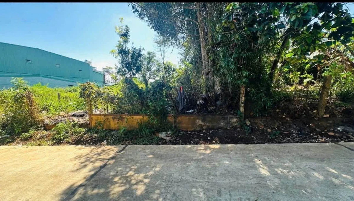 Bán đất hẻm Lê Thị Hồng Gấm, 145m² (5x29), Bình Tân - Ảnh thu nhỏ 3
