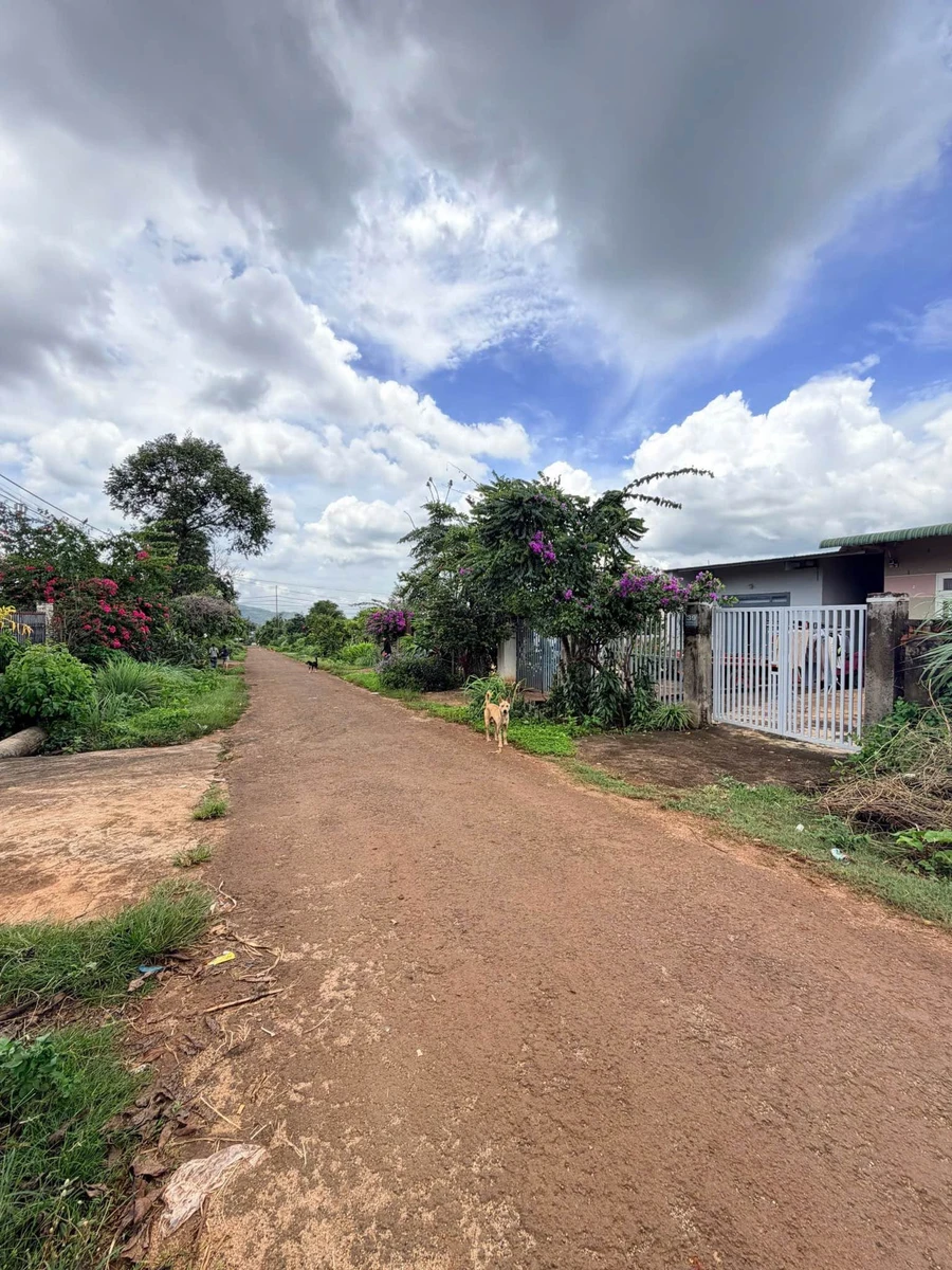 Bán đất 5x36m thổ cư 60m2 đường B2 Thôn 6 Cư Bua, Buôn Ma Thuột giá 2,55 tỷ - Ảnh thu nhỏ 3