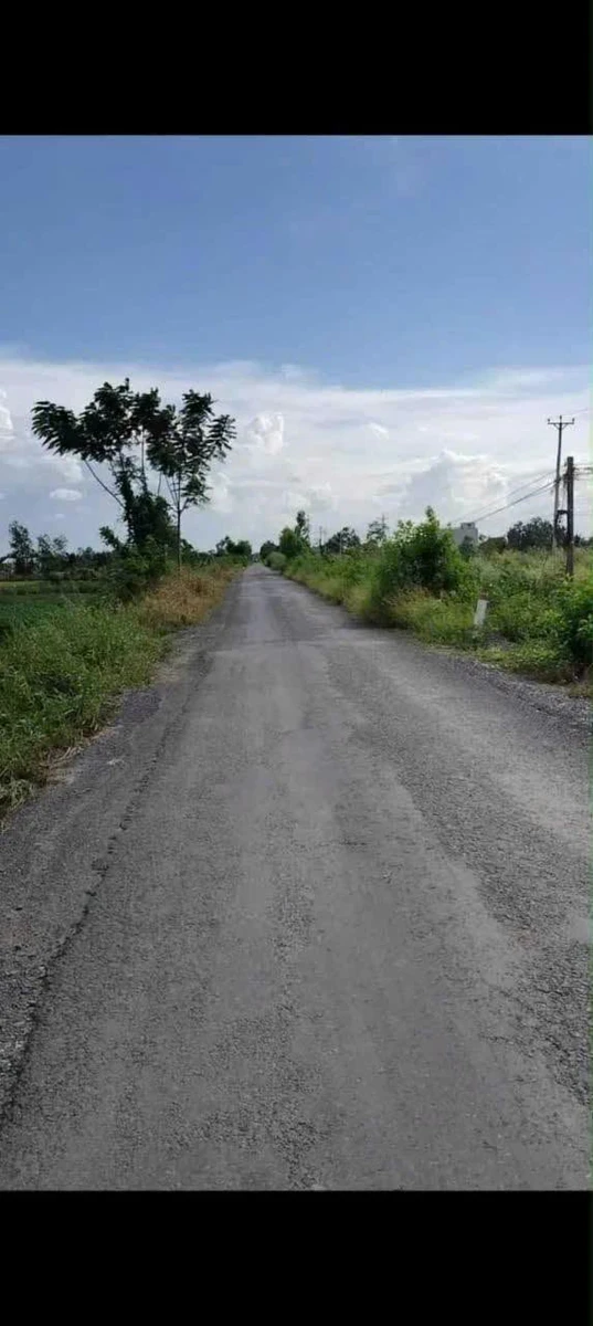 Bán đất mặt tiền 203×480m Xã Thuận Bình, Long An - Ảnh 1