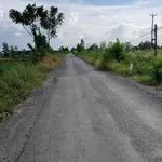 Bán đất mặt tiền 203×480m Xã Thuận Bình, Long An - Ảnh thu nhỏ 1