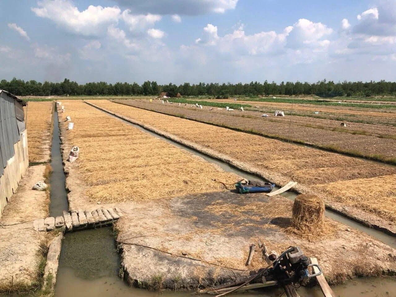 Bán 8500m2 đất Bình Tân Vĩnh Long - 350tr/1000m2 - Ảnh 1