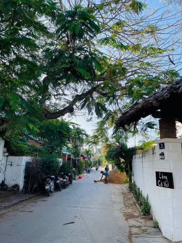 Bán đất 300m2 Hoà Bình, Hàm Tiến, Mũi Né 8,6 tỷ - Ảnh 1