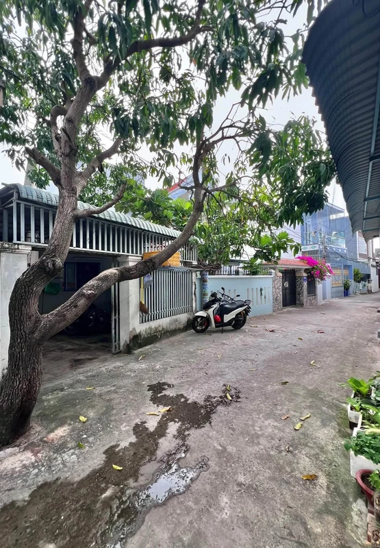 Bán dãy trọ 11 phòng Phan Thiết 273m² giá 3.6 tỷ